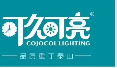 ɽвӹ޹˾